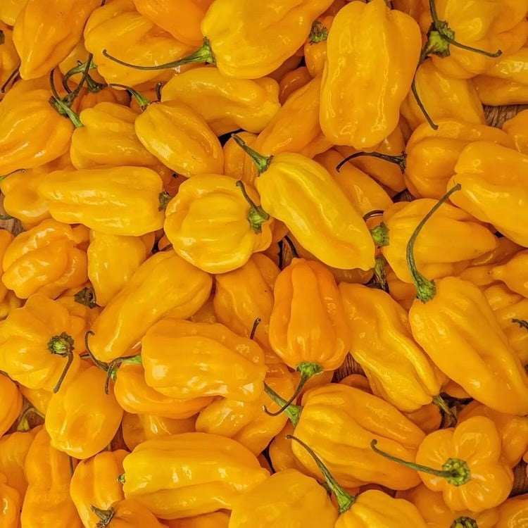 Mango & Habanero Pimp Your Mayo